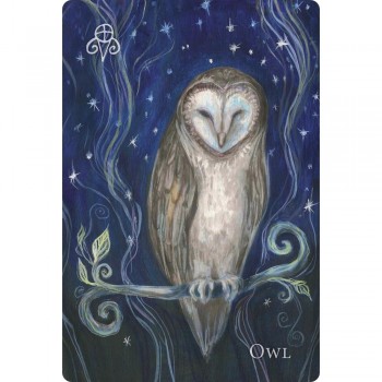 A Witch's Ally Oracle Kortos Llewellyn